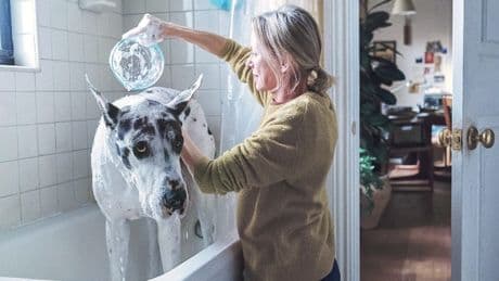 Ausgerechnet eine deutsche Dogge: „Loyal Friend“ mit Naomi Watts
