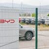 Autoverkoop van BYD in EU fors gestegen ten koste van Tesla
