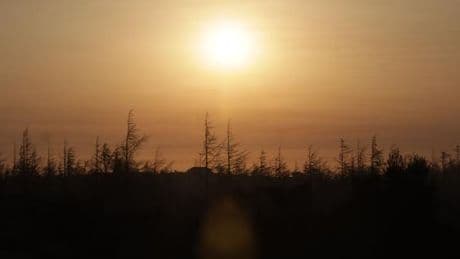 Canicule : 28 départements du Sud en vigilance orange samedi, jusqu’à 40 °C attendus