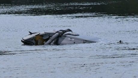 Unglück bei Grimma: Bundeswehr-Hubschrauber stürzt in einen Fluss in Sachsen