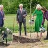 King Charles and Sweden's King Carl XVI Gustaf use 117-year-old spade with special meaning to plant 'beautiful' oak in Windsor