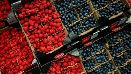 Fruits "origine France" frauduleux : un grossiste condamné pour tromperie