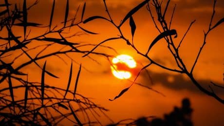 Meteoroloji uyardı, bu 9 şehrimizde 4 Temmuz Cuma günü hava sıcaklıkları çok yüksek