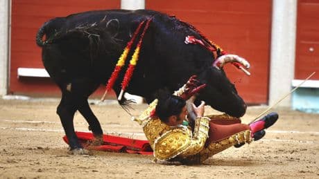 Morante de la Puebla cae herido en Pontevedra con una cornada "extensa" de pronóstico grave