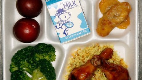 New N.Y.C. Food Standards Could Spell Doom for Chicken Nuggets