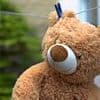 Urgent warning to parents as expert reveals the cuddly toys you should NEVER put in the washing machine - including two very popular brands