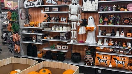 Welcome to Summerween: Social media loses it as Michaels stocks Halloween merch in June – during 100F heatwave