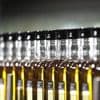 Des hydrocarbures retrouvés dans les huiles d’olive extra-vierge, selon 60 millions de consommateurs