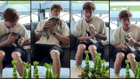 Sinner, il cane di Cincinnati: &quot;Io li amo&quot;, come l'ex Anna Kalinskaya. Le voci di una donazione