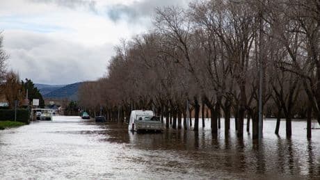Studie: Hochwasserschäden durch Anpassung verringert