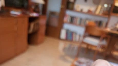 Pipa, la cariñosa cotorra que no puede volar