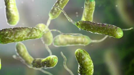 ‘Something is off this year’: Experts are stumped at the sudden spike in flesh-eating bacteria deaths