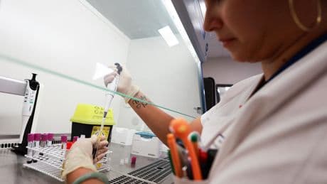 Chikungunya à La Réunion : la vaccination arrive-t-elle trop tard ?