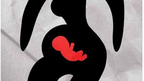Dobbs: A new national abortion debate has begun
