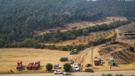 Sakarya'dan Bilecik tarafına sıçrayan orman yangını 4. gününde: Yangının dumanı Bursa'ya ulaştı