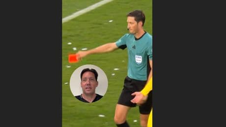Gräfe zu BVB-Rot - „Übliches Strafraum-Gerangel“