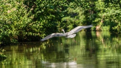 Ausflugstipp für Berliner: Im Spreewald warten Überraschungen