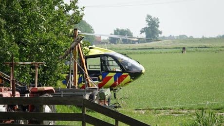 Stier doodt man bij aanval op boerderij