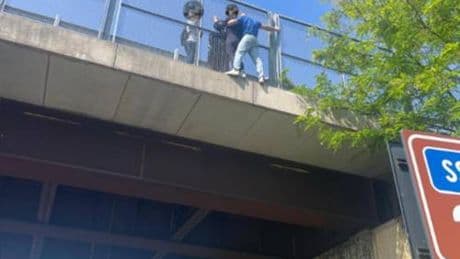 Salva una donna che vuole suicidarsi. L'elogio di Meloni al carabiniere eroe