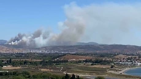 İzmir'in Seferihisar ilçesinde orman yangını