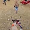 Bullfighter, 35, is gored to death after taunting animal at packed festival