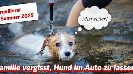 Die besten Witzbilder der WELT – Wie kann man nur so herzlos sein?