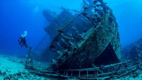 Exploran un naufragio español del siglo XVI y descubren cómo los gatos 'conquistaron' EEUU