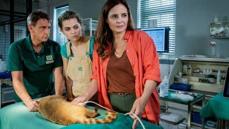 Vorschau: TV-Tipps am Dienstag