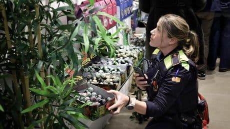 La Guardia Urbana de Barcelona inspecciona 28 tiendas en busca de chuches de cannabis