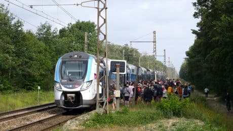 Seuls quatre trains s’y arrêtent par semaine : connaissez-vous la halte secrète de la forêt de Fontainebleau ?