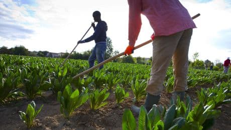 L'Italie s'ouvre davantage aux travailleurs non-européens face à pénurie de main-d'œuvre
