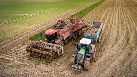 Pesticides néonicotinoïdes : l’Assemblée fait un pas vers un retour sur certaines cultures