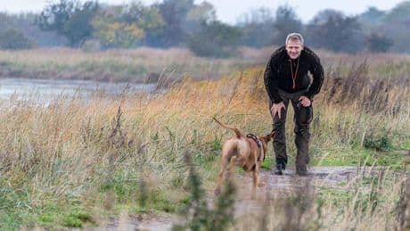 Hundepfeife: So trainieren Sie mit Ihrem Hund Kommandos über weite Distanzen hinweg