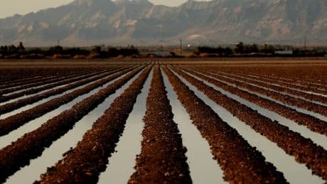 Letters to the Editor: This reader had a crop-picking job as a teenager. He lasted only a week