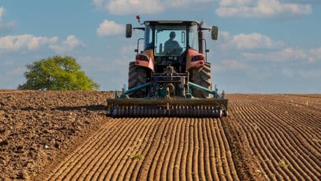 Blé : la récolte en hausse de 27% en France en 2025