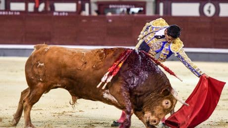 La sorpresa de la noche en Las Ventas vino del Perú: se llama Pedro Luis y quiere ser torero