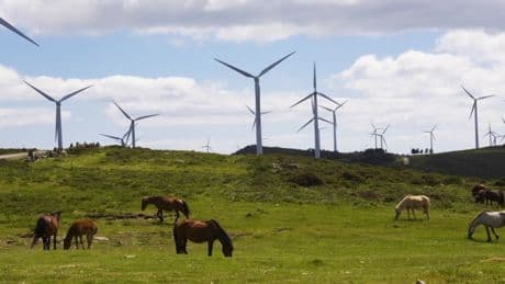 Los duros reproches del juez australiano que condena a España por las renovables