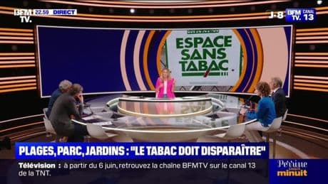 Plages, parc, jardins : "Le tabac doit disparaître" - 29/05