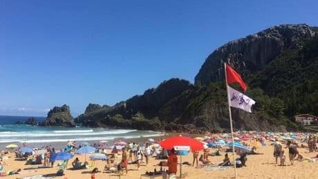 Detectan medusas en siete playas vizcaínas
