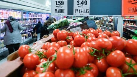 Tomates marocaines, crevettes malgaches... Le modèle d’import-export de la France nuit aussi aux agricultures des pays du Sud