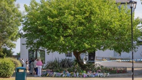 Cricket club heroes praised after trying to save children from collapsed tree