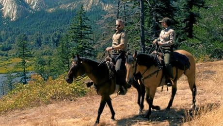 « Une nature sauvage » : pourquoi cette série, numéro 1 sur Netflix en France, fascine autant ?