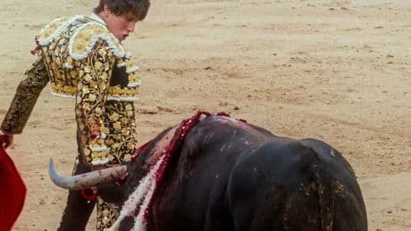 Kino: Spiegel der Tauromachie