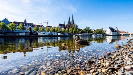 Geringe Niederschläge: Wasserstände auf Main und Donau durch Trockenheit gesunken