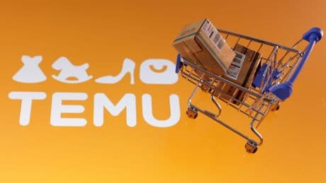 Chinese site Temu highlighting import taxes to customers in apparent snub to Trump