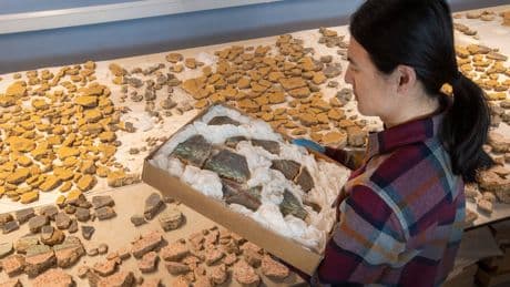 Archaeologists piece together plaster fragments into wall painting from ‘Beverly Hills of Roman London’