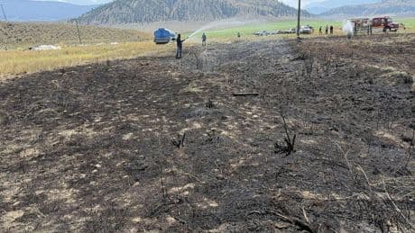 Fish on power lines caused blaze: B.C. fire crew