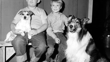 ‘Lassie’ actor Joey D. Vieira dead at 80