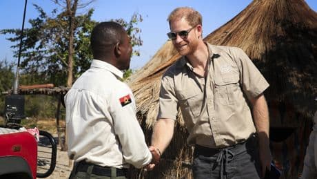 Prince Harry’s peace summit with King Charles could take place within weeks – but duke has no plans to see William