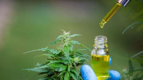 El 90 % de los menores en tratamiento por drogas lo están por cannabis